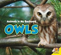 Produktbild: Owls