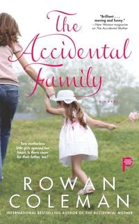 Produktbild: The Accidental Family