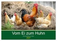 Produktbild: Vom Ei zum Huhn. Die Entwicklung von K&uuml;ken (Wandkalender 2027 DIN A2 quer), CALVENDO Monatskalender