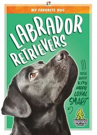 Produktbild: Labrador Retrievers