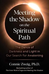 Produktbild: Meeting the Shadow on the Spiritual Path
