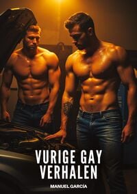 Produktbild: Vurige Gay Verhalen