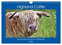 Produktbild: Highland Cattle, die Hochlandrinder aus Pfeffingen (Wandkalender 2026 DIN A4 quer), CALVENDO Monatskalender