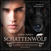 Produktbild: Schattenwolf, Episode 6 - Fantasy-Serie