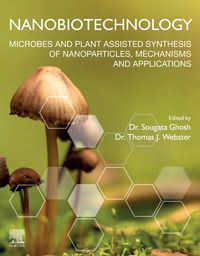 Produktbild: Nanobiotechnology