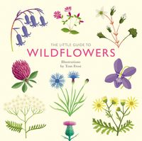 Produktbild: The Little Guide to Wildflowers