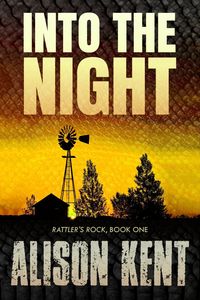 Produktbild: Into the Night