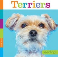 Produktbild: Terriers