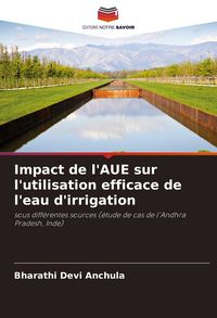 Produktbild: Impact de l'AUE sur l'utilisation efficace de l'eau d'irrigation