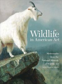 Produktbild: Wildlife in Amer Art
