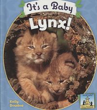 Produktbild: Its a Baby Lynx