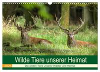 Produktbild: Wilde Tiere unserer Heimat (Wandkalender 2026 DIN A3 quer), CALVENDO Monatskalender