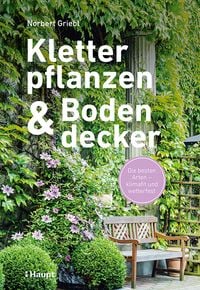 Produktbild: Kletterpflanzen und Bodendecker
