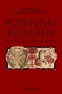 Produktbild: Potential regieren