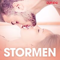 Produktbild: Stormen - erotiska noveller