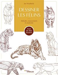 Produktbild: Dessiner les felins