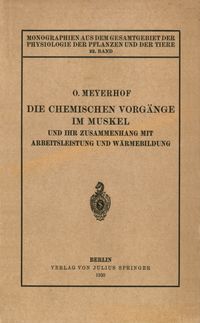 Produktbild: Die chemischen Vorg&auml;nge im Muskel und ihr Zusammenhang mit Arbeitsleistung und W&auml;rmebildung