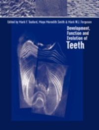 Produktbild: Development, Function and Evolution of Teeth