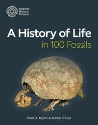 Produktbild: A History of Life in 100 Fossils