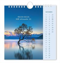 Postkartenkalender 2024 Lichtblicke