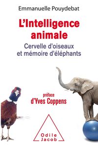 Produktbild: L'intelligence animale