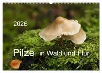 Produktbild: Pilze in Wald und Flur (Wandkalender 2026 DIN A2 quer), CALVENDO Monatskalender