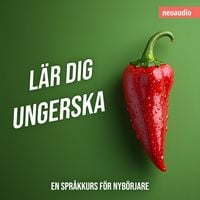 Produktbild: Spr&aring;kkurser f&ouml;r nyb&ouml;rjare, L&auml;r dig ungerska