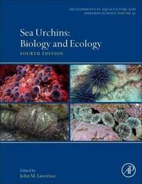 Produktbild: Sea Urchins