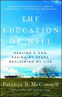 Produktbild: The Education of Will