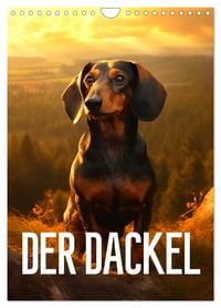 Produktbild: Der Dackel (Wandkalender 2026 DIN A4 hoch), CALVENDO Monatskalender
