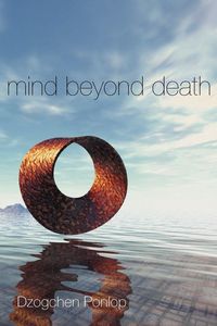 Produktbild: Mind Beyond Death