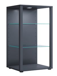 Produktbild: Holz Glas Stand Vitrine Sammelvitrine Glasol XL