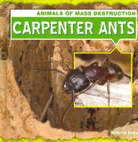 Produktbild: Carpenter Ants