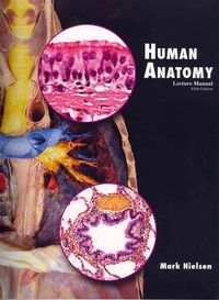 Produktbild: Human Anatomy