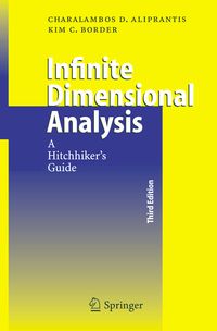 Produktbild: Infinite Dimensional Analysis