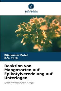 Produktbild: Reaktion von Mangosorten auf Epikotylveredelung auf Unterlagen