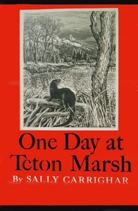 Produktbild: One Day At Teton Marsh