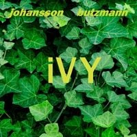 Produktbild: Ivy