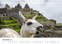 Peru - Land der Inkas und Alpakas (Wandkalender 2023 DIN A4 quer)