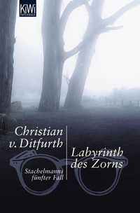 Bild vom Artikel Labyrinth des Zorns / Stachelmann Band 5 vom Autor Christian v. Ditfurth