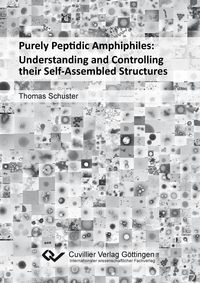 Bild vom Artikel Purely Peptidic Amphiphiles: Understanding and Controlling their Self-Assembled Structures vom Autor Thomas Schuster