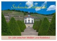 Produktbild: S&auml;chsische Sehnsucht - Ein Jahr zwischen Mei&szlig;en und Radebeul (Wandkalender 2027 DIN A2 quer), CALVENDO Monatskalender