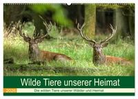 Produktbild: Wilde Tiere unserer Heimat (Wandkalender 2026 DIN A2 quer), CALVENDO Monatskalender