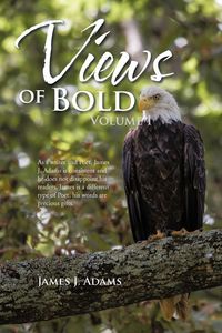 Produktbild: Views of Bold