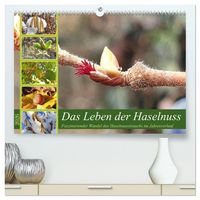 Produktbild: Das Leben der Haselnuss (hochwertiger Premium Wandkalender 2026 DIN A2 quer), Kunstdruck in Hochglanz