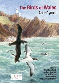 Produktbild: The Birds of Wales