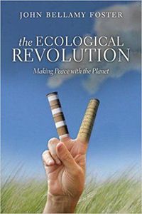 Produktbild: The Ecological Revolution
