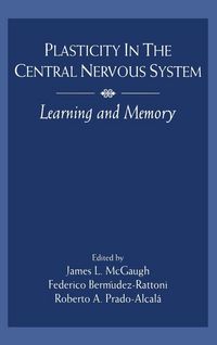 Produktbild: Plasticity in the Central Nervous System