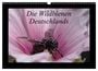 Produktbild: DIN A3