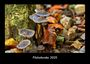 Produktbild: Kalender
